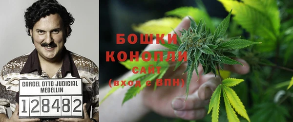 ПСИЛОЦИБИНОВЫЕ ГРИБЫ Иннополис