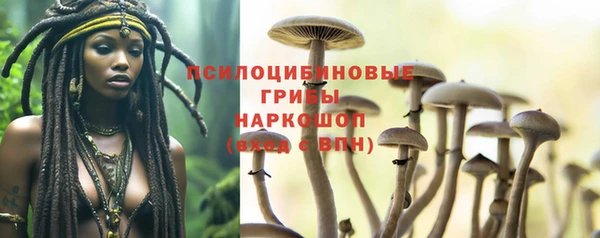 ПСИЛОЦИБИНОВЫЕ ГРИБЫ Иннополис