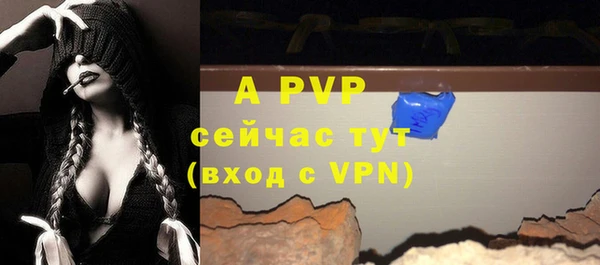 ПСИЛОЦИБИНОВЫЕ ГРИБЫ Иннополис