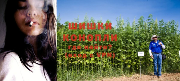 спайс Инсар