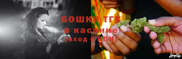 ECSTASY Инта