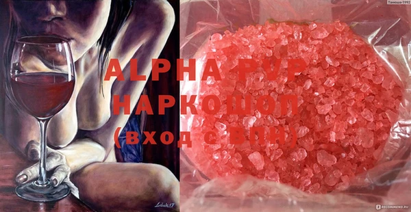 ECSTASY Инта