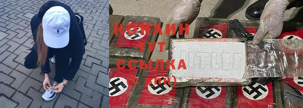 спайс Инсар