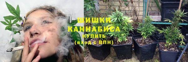 ПСИЛОЦИБИНОВЫЕ ГРИБЫ Иннополис