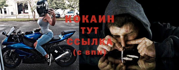 спайс Инсар