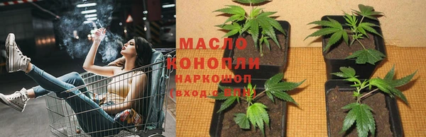 ECSTASY Инта