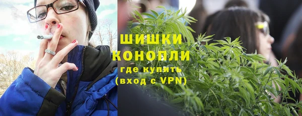 ПСИЛОЦИБИНОВЫЕ ГРИБЫ Иннополис