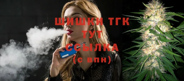 спайс Инсар