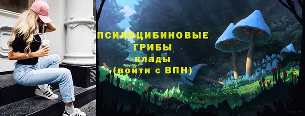 спайс Инсар