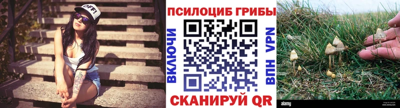 omg ССЫЛКА  это официальный сайт  Псилоцибиновые грибы Magic Shrooms  Мариинск 