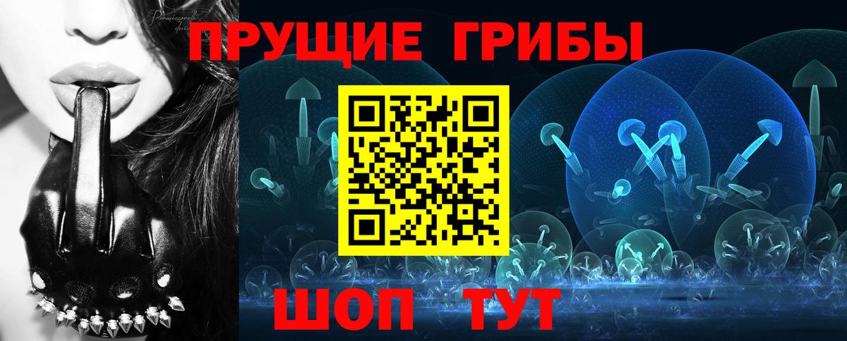 Псилоцибиновые грибы MAGIC MUSHROOMS  Вход с VPN  купить закладку  Мариинск 